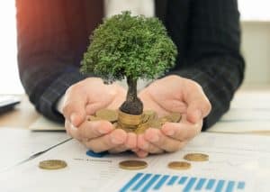 Investment Portfolio for Maximum Growth