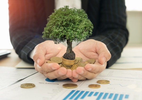 Investment Portfolio for Maximum Growth