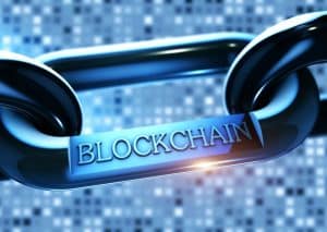 Cryptocurrency Risk and Rewards